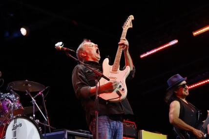 Walter Trout