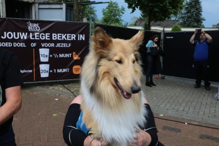 Bezoekers Zaterdag